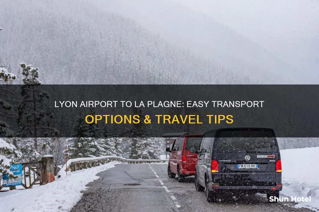 how to get from lyon airport to la plagne