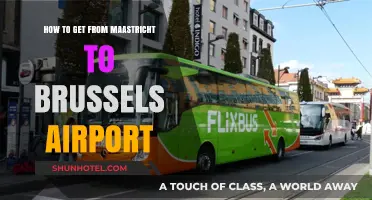 Travel Guide: Maastricht to Brussels Airport - Easy Transport Options