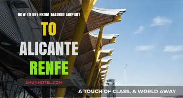 Travel Guide: Madrid Airport to Alicante Renfe by Train