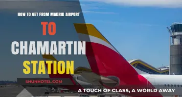 Traveling from Madrid Airport to Chamartin Station: Easy Transport Guide
