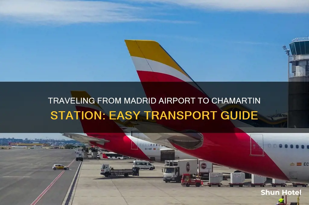 how to get from madrid airport to chamartin station