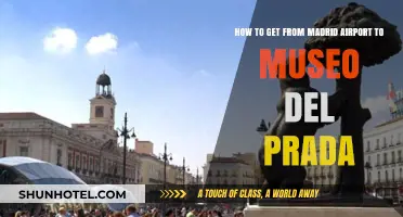 Traveling from Madrid Airport to Museo del Prado: Easy Guide