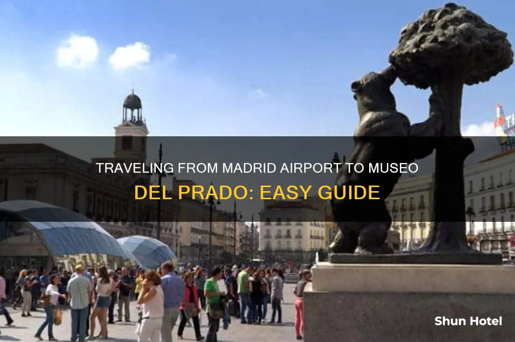 how to get from madrid airport to museo del prada