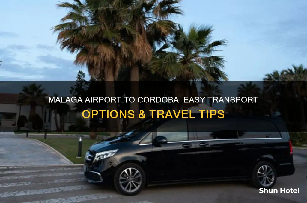 how to get from malaga airport to cordoba