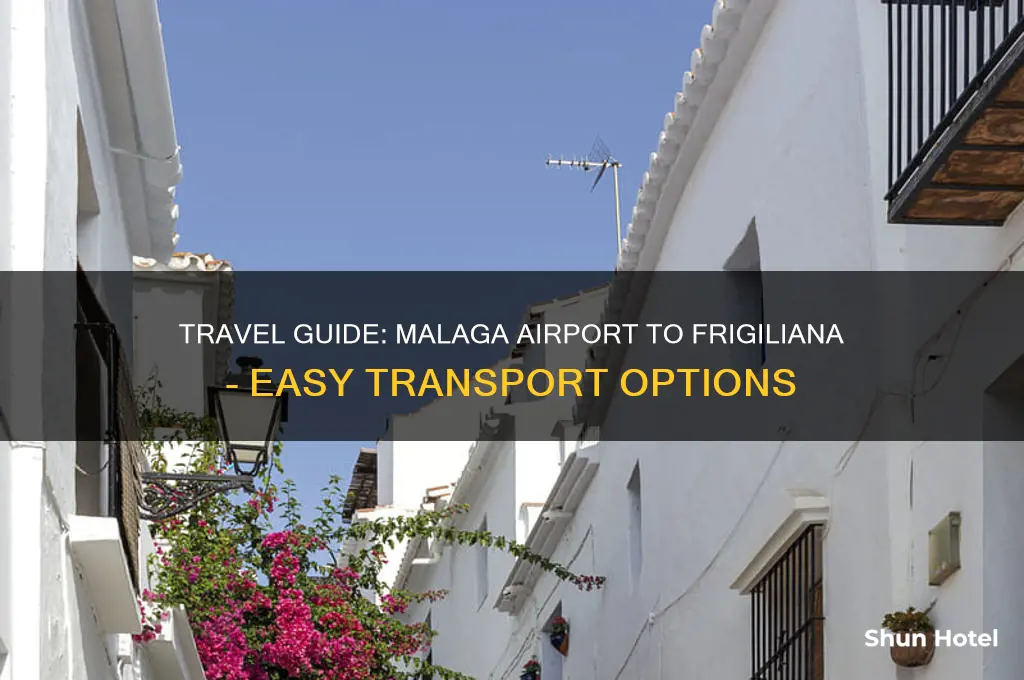how to get from malaga airport to frigiliana