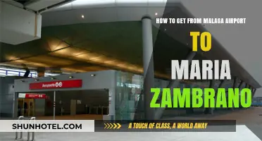 Malaga Airport to Maria Zambrano: Easy Transport Options & Tips
