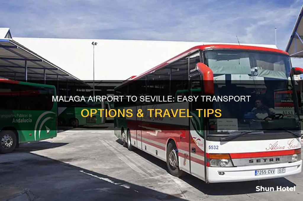 how to get from malaga airport to seville