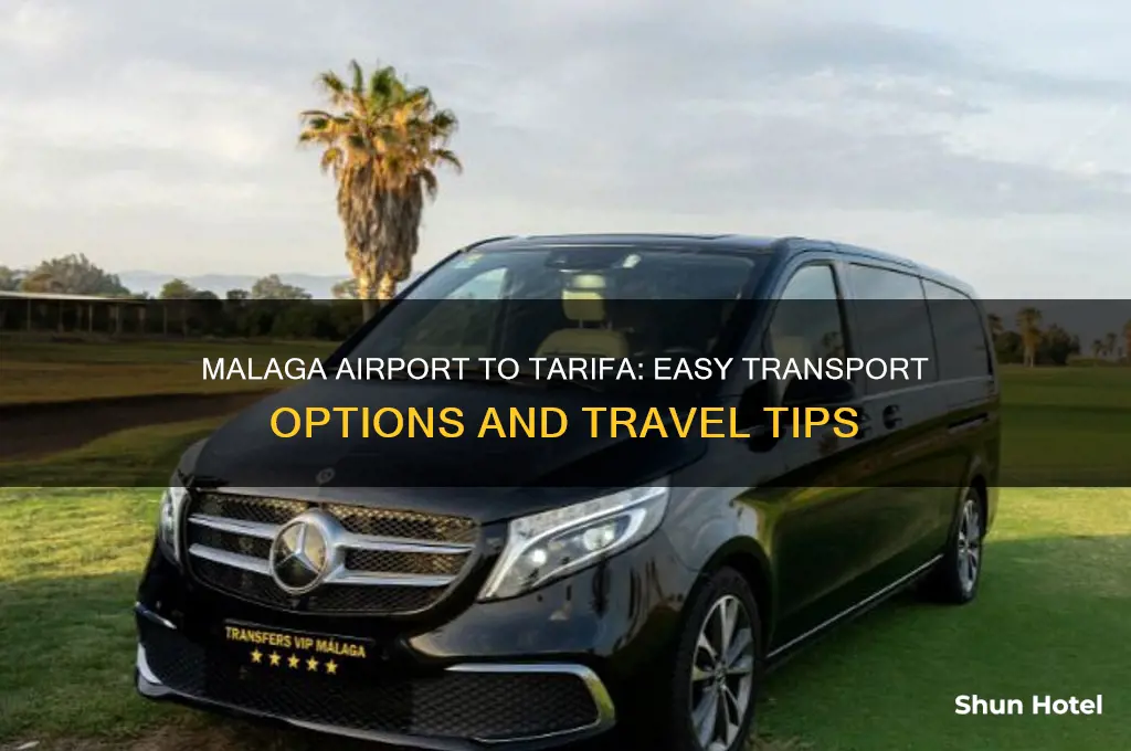 how to get from malaga airport to tarifa