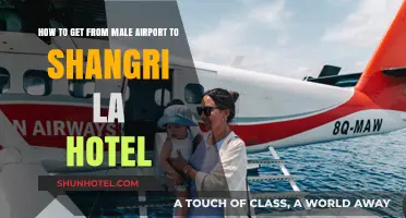 Travel Guide: Male Airport to Shangri La Hotel Transfer Tips