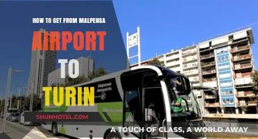 Traveling from Malpensa Airport to Turin: Easy Transport Options