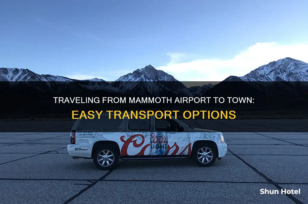 how to get from mammoth airport to town