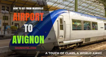 Travel Guide: Marseille Airport to Avignon Transport Options Simplified