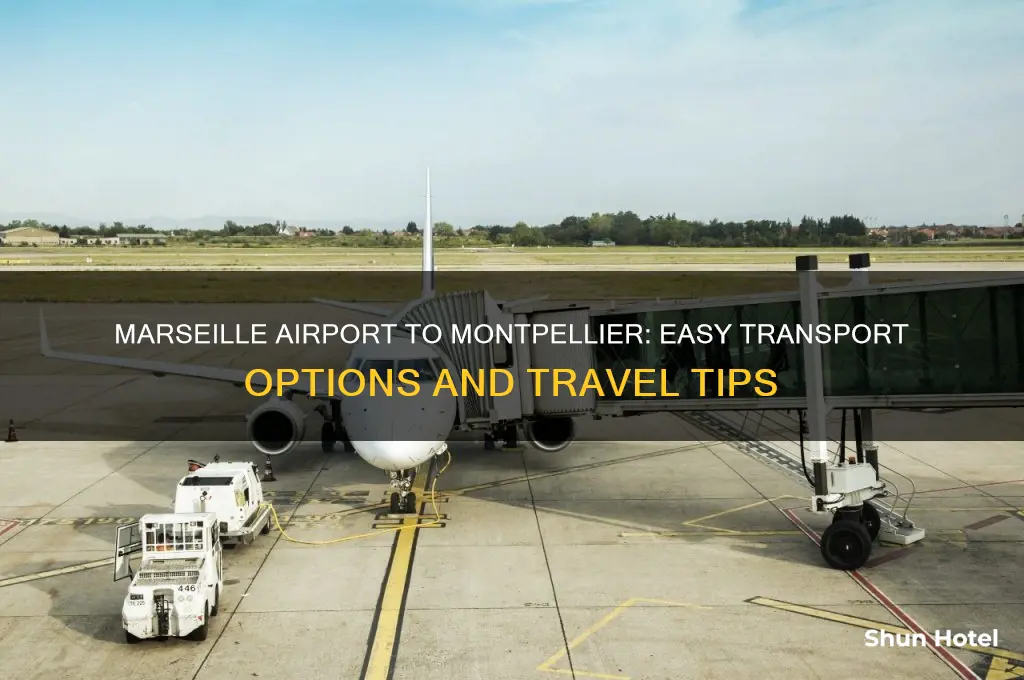 how to get from marseille airport to montpellier