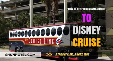 Miami Airport to Disney Cruise: Easy Transportation Options & Tips
