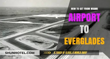 Miami Airport to Everglades: Easy Transportation Options & Travel Tips