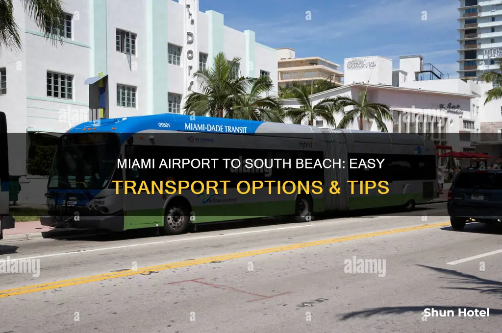 how to get from miami airport to south beach