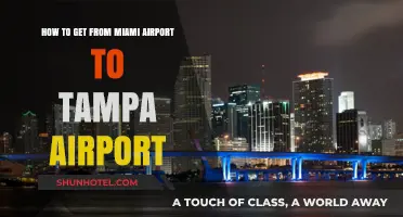 Miami to Tampa Airport: Quickest Travel Options and Tips