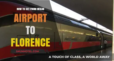 Milan Airport to Florence: Easy Transport Options & Travel Tips