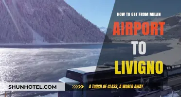 Travel Guide: Milan Airport to Livigno Transport Options & Tips