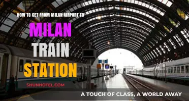 Easy Milan Airport to Train Station Transfer Guide