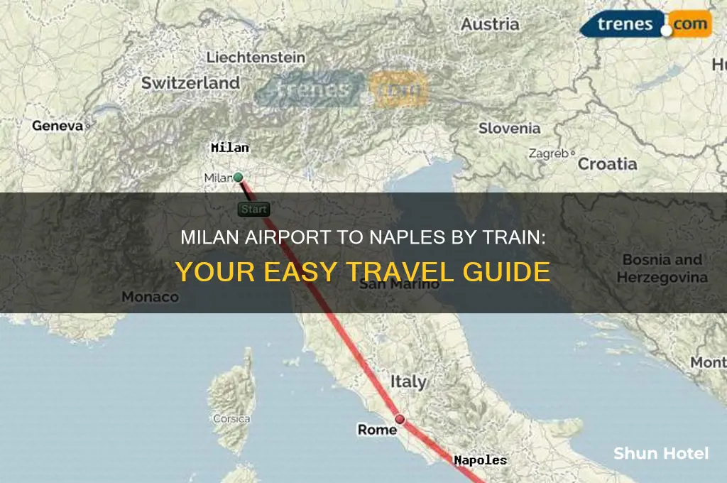 how to get from milan airport to naples by train
