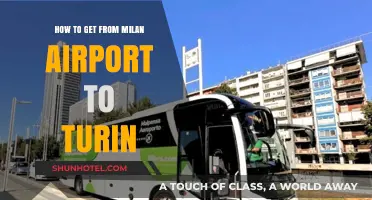 Milan Airport to Turin: Quick, Easy, and Affordable Travel Options