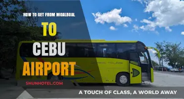 Travel Guide: Moalboal to Cebu Airport Transport Options & Tips