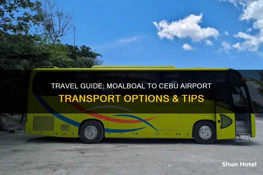 how to get from moalboal to cebu airport