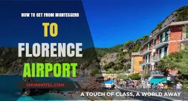 Traveling from Montessero to Florence Airport: Easy Transport Tips