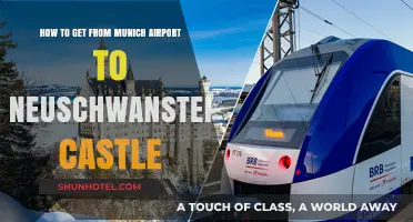 Travel Guide: Munich Airport to Neuschwanstein Castle Transport Options