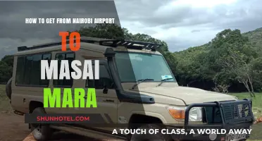 Travel Guide: Nairobi Airport to Masai Mara Transport Options