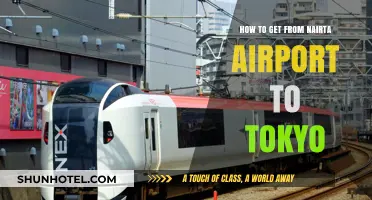 From Narita Airport to Tokyo: Easy Transportation Options and Tips