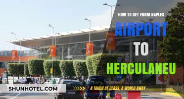 Naples Airport to Herculaneum: Easy Transport Options & Travel Tips