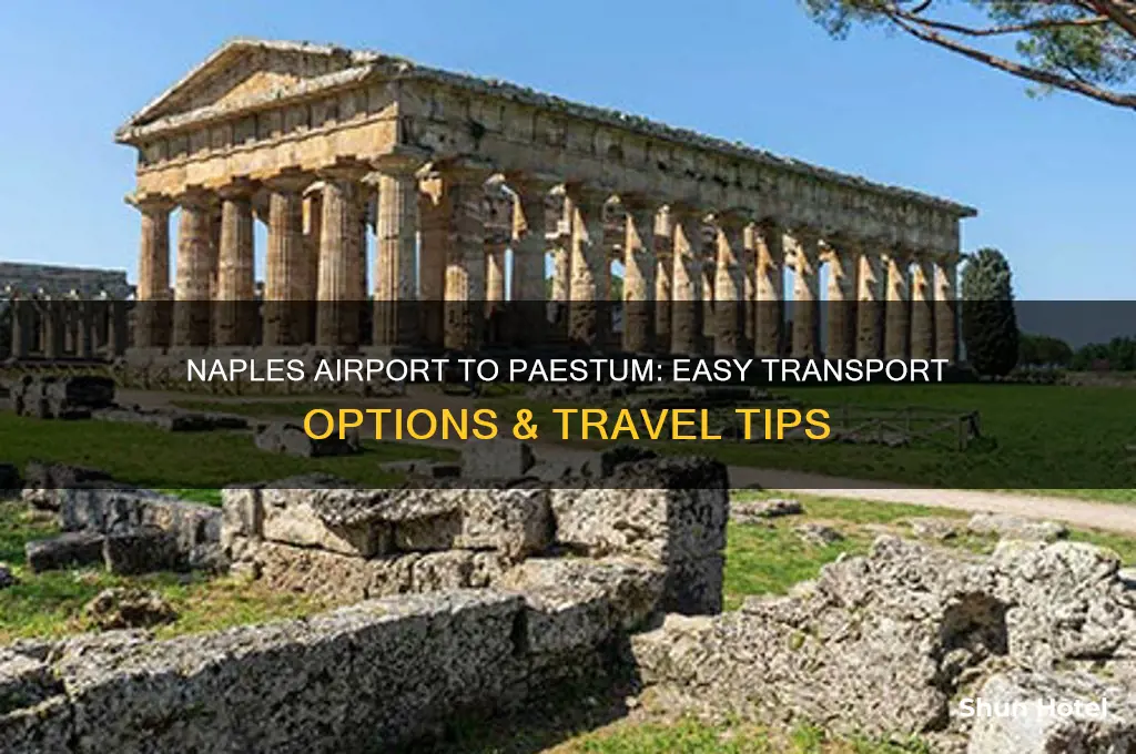 how to get from naples airport to paestum
