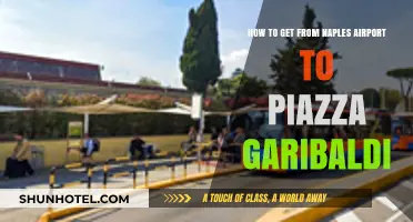 Naples Airport to Piazza Garibaldi: Quick, Easy Transport Options