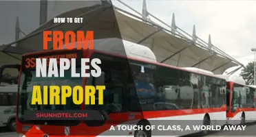 Easy Travel Tips: Getting from Naples Airport to Your Destination