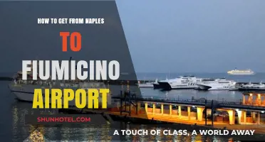 Naples to Fiumicino Airport: Easy Travel Guide & Transport Options