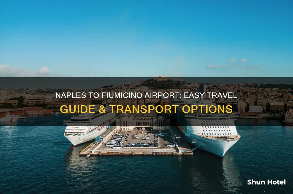 how to get from naples to fiumicino airport