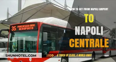Traveling from Napoli Airport to Napoli Centrale: Easy Transport Options