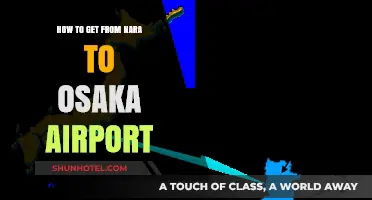 Traveling from Nara to Osaka Airport: Easy Transport Options