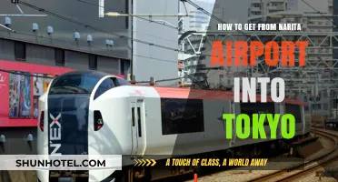 Narita Airport to Tokyo: Easy Transport Options & Travel Tips