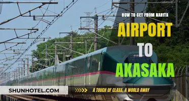 Narita Airport to Akasaka: Easy Transport Options & Travel Tips