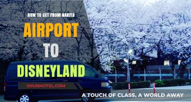 Narita Airport to Disneyland: Easy Transport Options & Tips