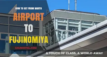Narita to Fujinomiya: Easy Transport Guide for Travelers
