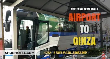 Narita Airport to Ginza: Quick, Easy, and Stress-Free Travel Guide