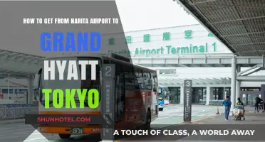 Narita Airport to Grand Hyatt Tokyo: Easy Transport Guide