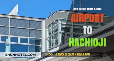 Narita Airport to Hachioji: Easy Transport Guide for Travelers