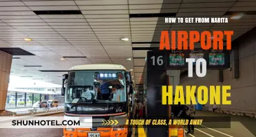 Narita Airport to Hakone: Easy Transport Guide for Travelers