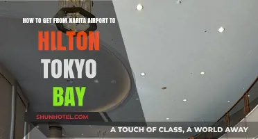 Travel Guide: Narita Airport to Hilton Tokyo Bay Made Easy