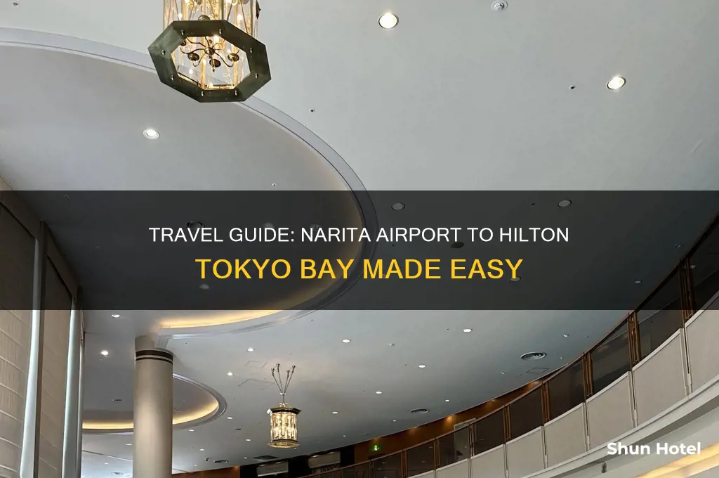 how to get from narita airport to hilton tokyo bay